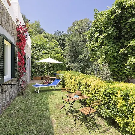 Hotel Oasi Castiglione 4*