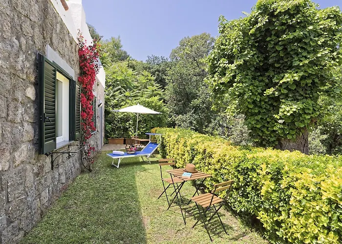 호텔 Oasi Castiglione 4*